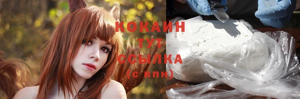 стаф Покачи