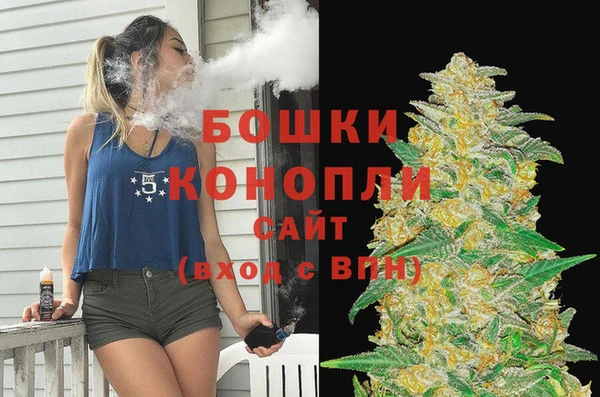 стаф Покачи