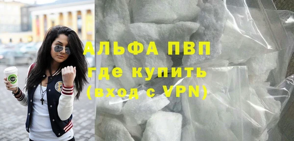 стаф Покачи