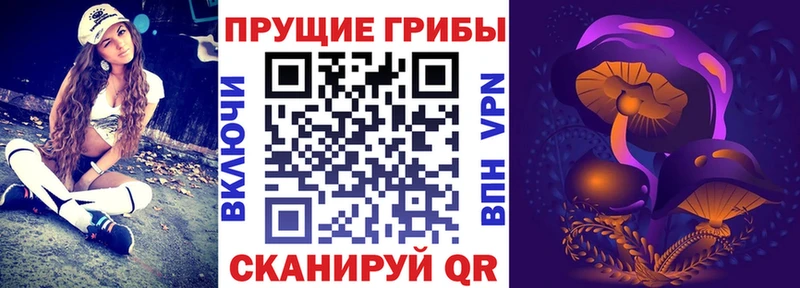 купить  сайты  Петров Вал  Галлюциногенные грибы мицелий 